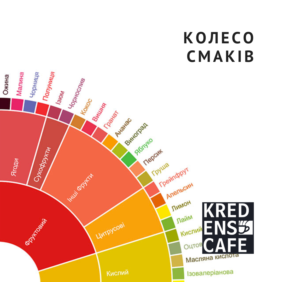 Колесо смаків кави: ваш гід у світі кави