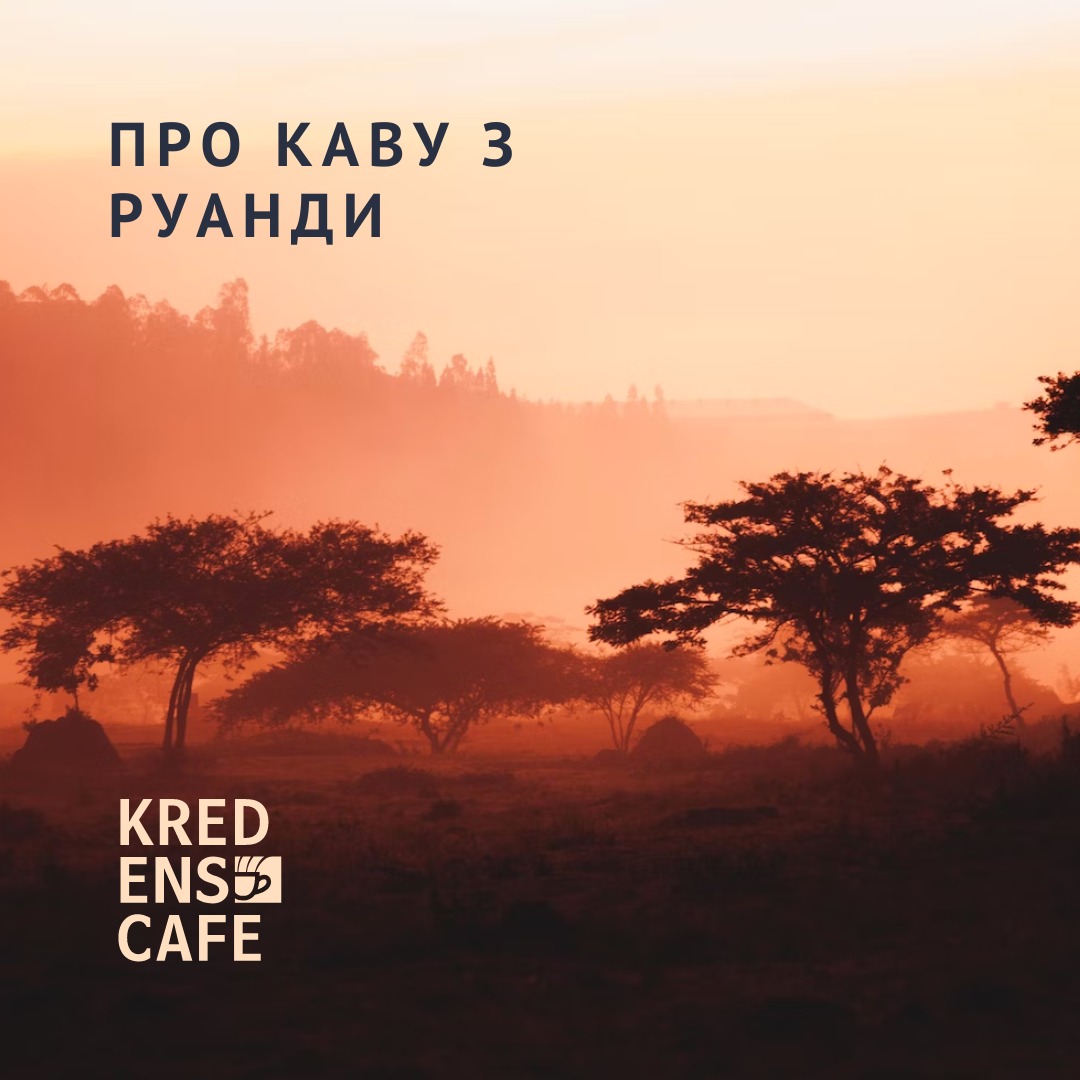 Про каву з Руанди